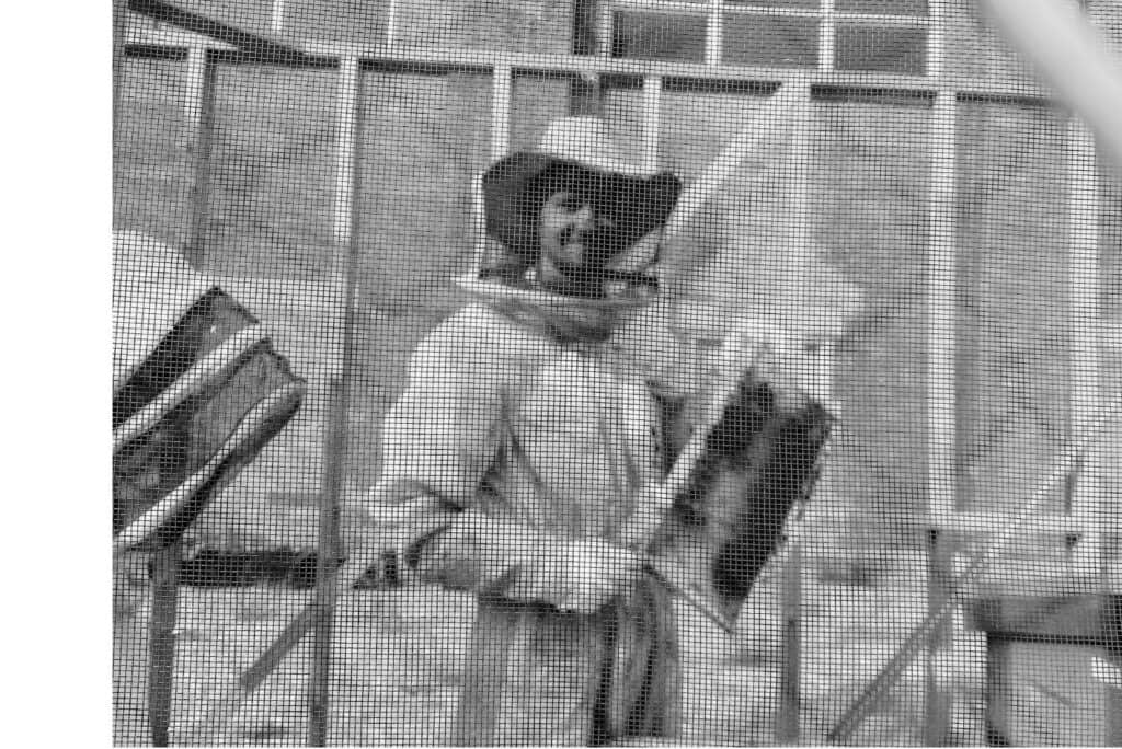 service civique montréal apiculture