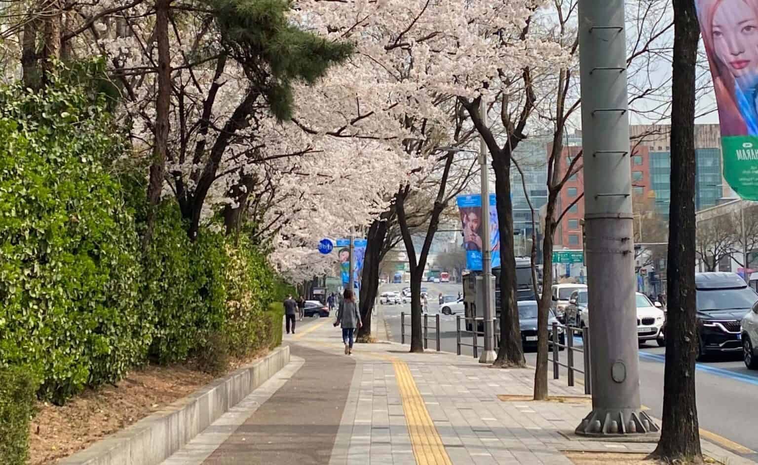 Une journée à Gangnam – Séoul, Corée du sud