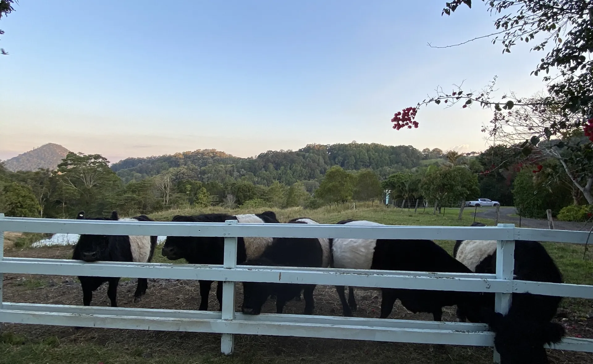 job club de my little france