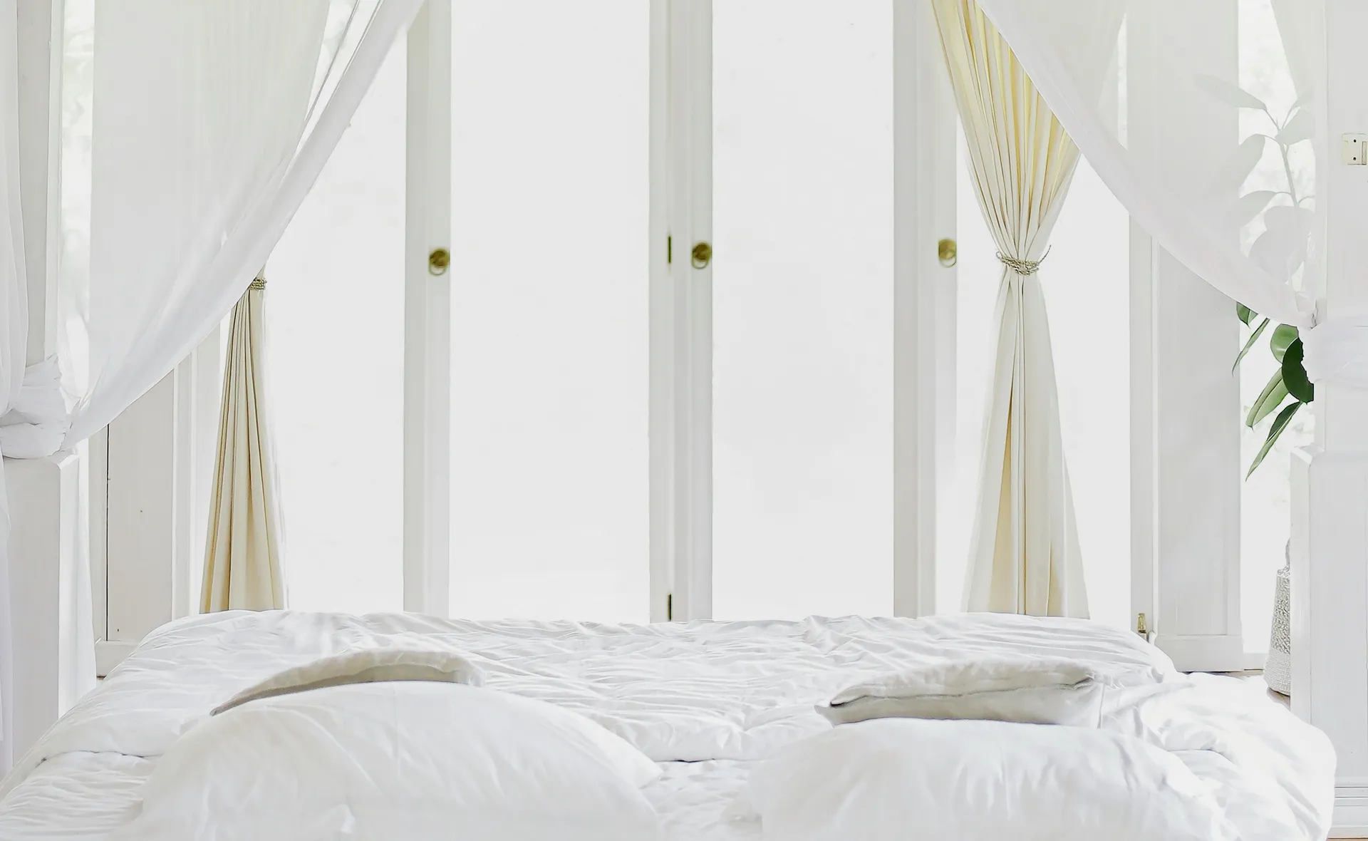 ogement brisbane ; se loger brisbane ; trouver logement australie ; se loger en australie ; my little france