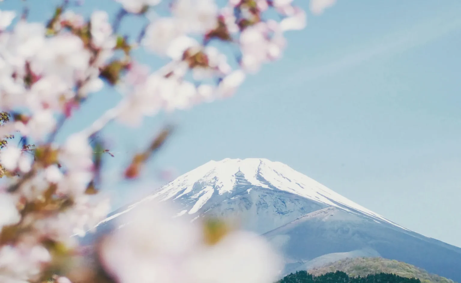 Mon programme de séjour pour le PVT Japon