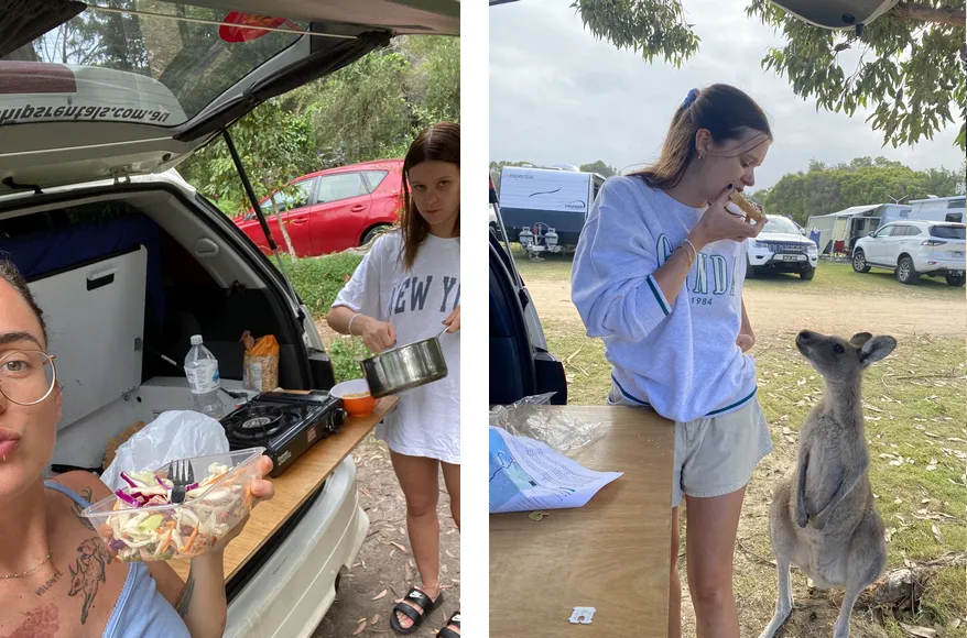cuisine à l'extérieur du monospace aménagé, rencontre avec un kangourou dans un camping en Australie lors de la location de notre van