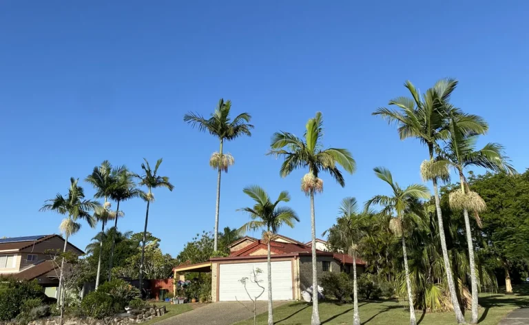 Pack Work Travel de My Little France PROMO