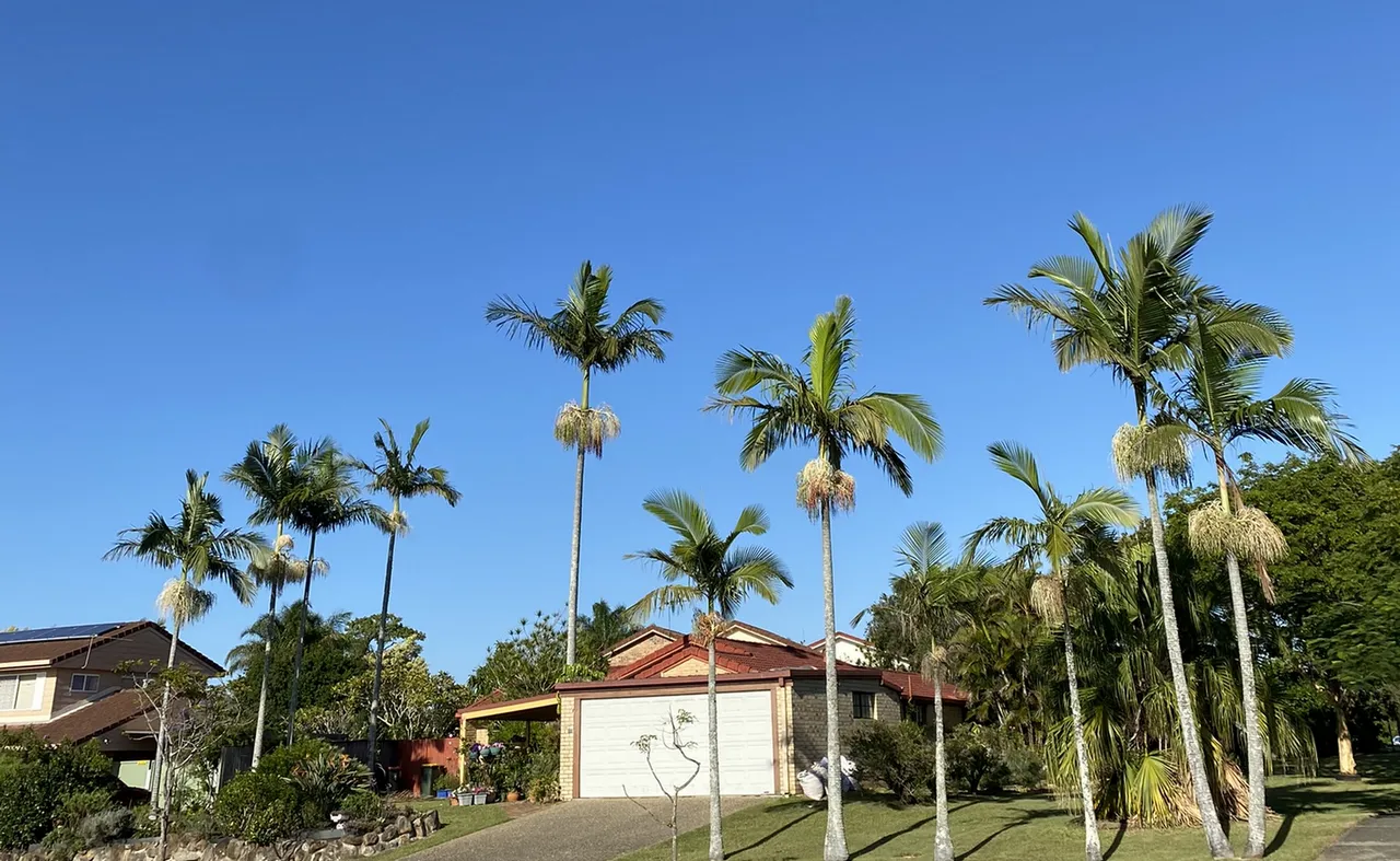 Pack Work Travel de My Little France PROMO