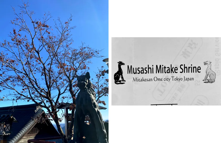 loup (Ōinu-sama) le gardien divin du mont Mitake